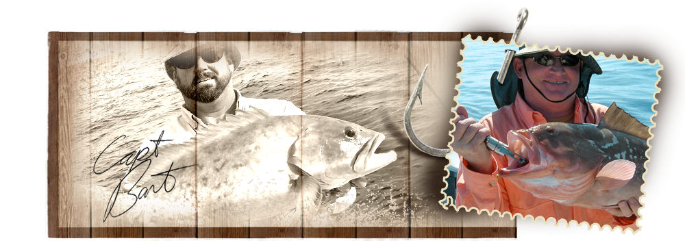 nivo slider image