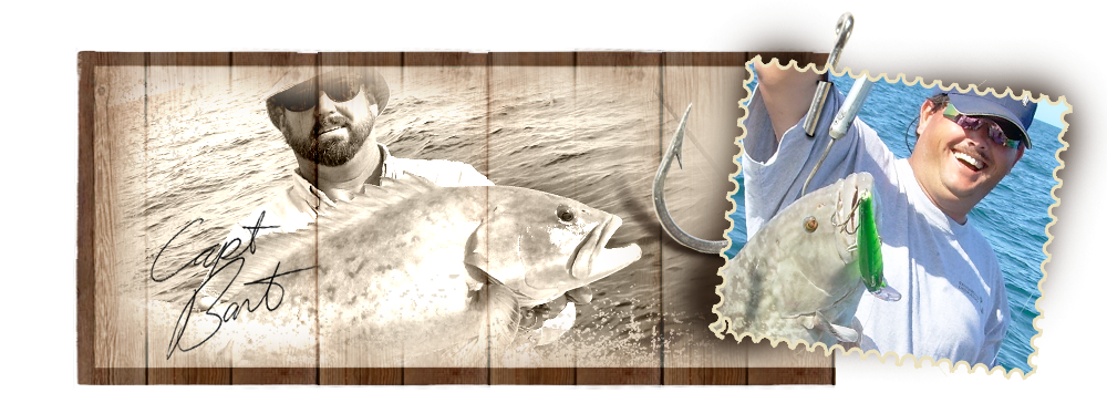 nivo slider image