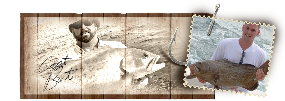 nivo slider image